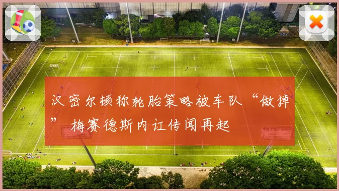 汉密尔顿称轮胎策略被车队“做掉” 梅赛德斯内讧传闻再起