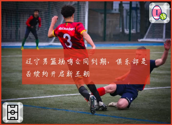 辽宁男篮杨鸣合同到期，俱乐部是否续约开启新王朝