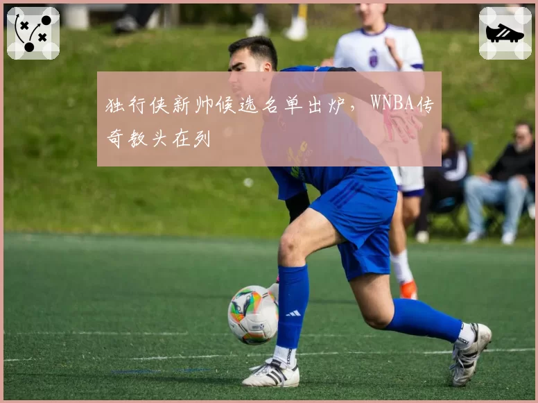 独行侠新帅候选名单出炉，WNBA传奇教头在列
